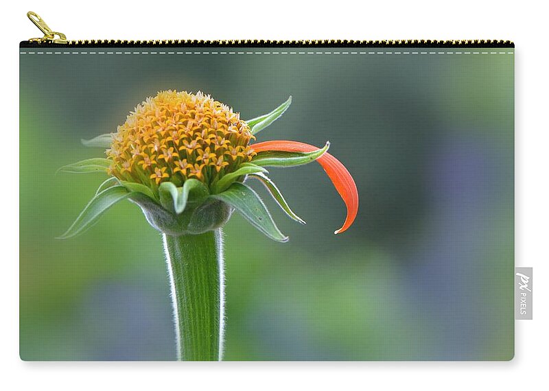 Flower Zip Pouch featuring the photograph He Loves Me by Carolyn Mickulas