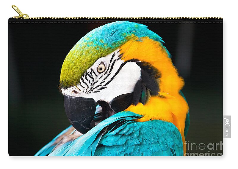 Animal Zip Pouch featuring the photograph Head of parrot by Amanda Mohler