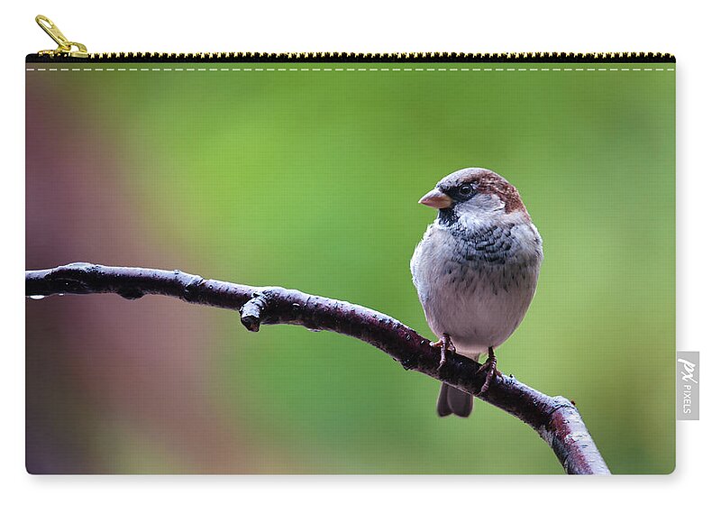 Canada Zip Pouch featuring the photograph Head of the Flock by Paul W Sharpe Aka Wizard of Wonders