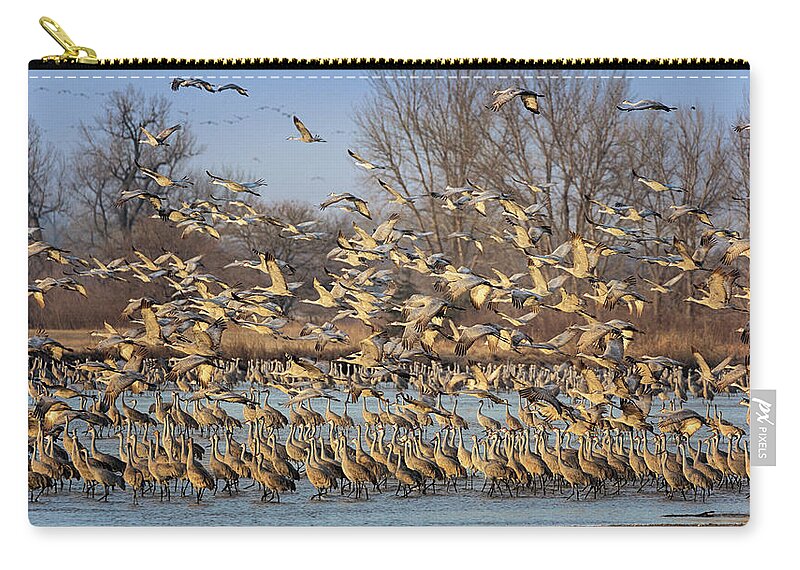 Sandhill Cranes Zip Pouch featuring the photograph Heading Out by Susan Rissi Tregoning