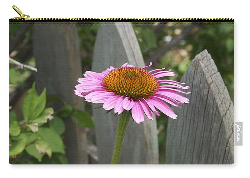 Pink Shasta Zip Pouch featuring the photograph Heads Up by Penny Neimiller