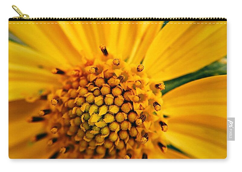 Sunflower Zip Pouch featuring the photograph Heart and Soul by Brad Hodges