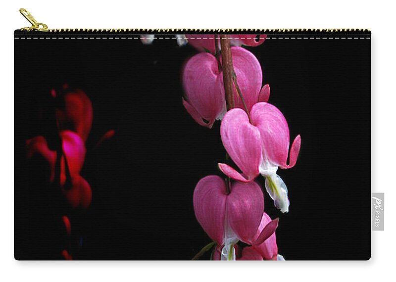 Flowers Zip Pouch featuring the photograph Hearts in the Dark by Sue Capuano