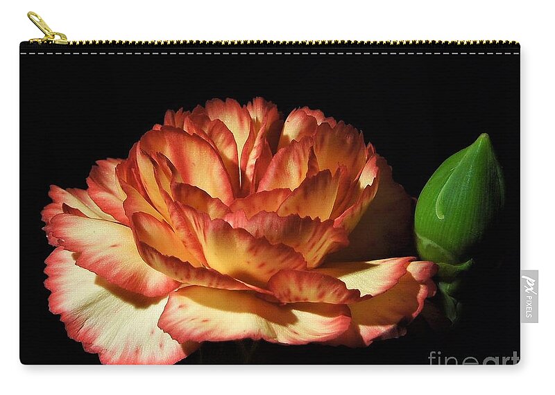 Heavenly Zip Pouch featuring the photograph Heavenly Outlined Carnation Flower by Chad and Stacey Hall