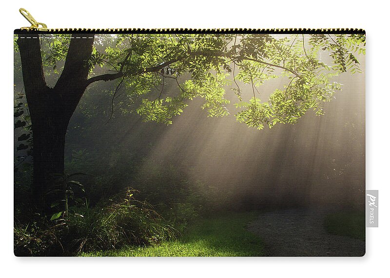 Tree Zip Pouch featuring the photograph Heavenly Rays by Douglas Stucky