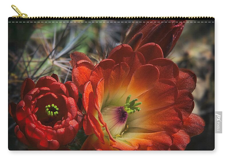Claret Cup Cactus Zip Pouch featuring the photograph Hedgehog Happiness by Saija Lehtonen