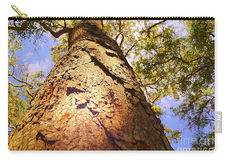 Tree Zip Pouch featuring the photograph Height by Cassandra Buckley