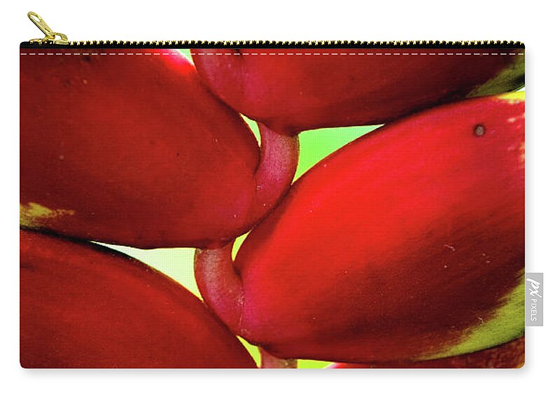 Plant Zip Pouch featuring the photograph Heliconia Detail by Christopher Holmes