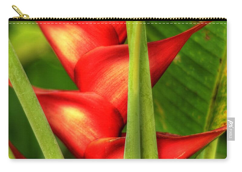 Heliconia Zip Pouch featuring the photograph Heliconia by Kelly Wade
