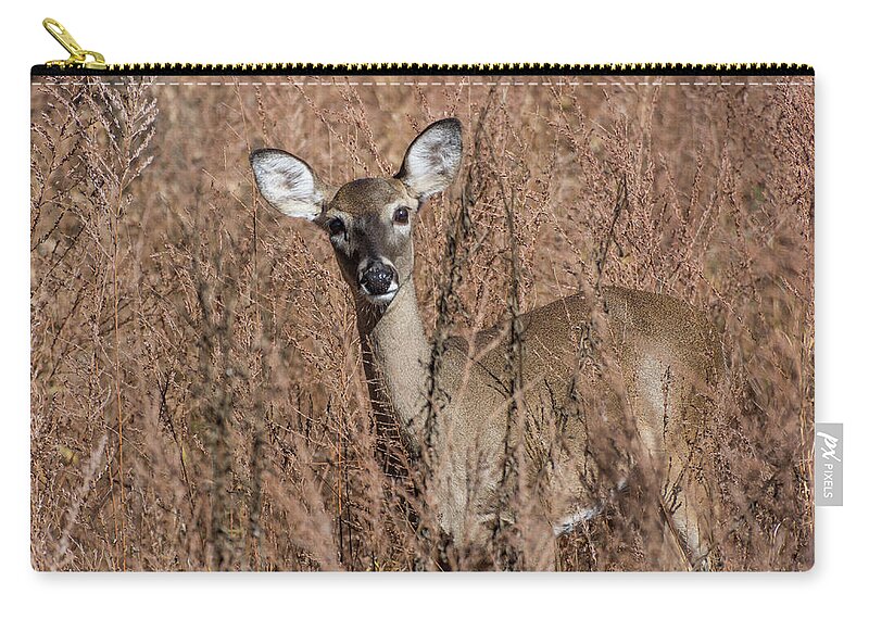 Wildlife Zip Pouch featuring the photograph Hello by John Benedict