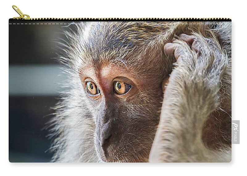 Monkey Carry-all Pouch featuring the photograph Hello, Monkey Here by Rick Deacon