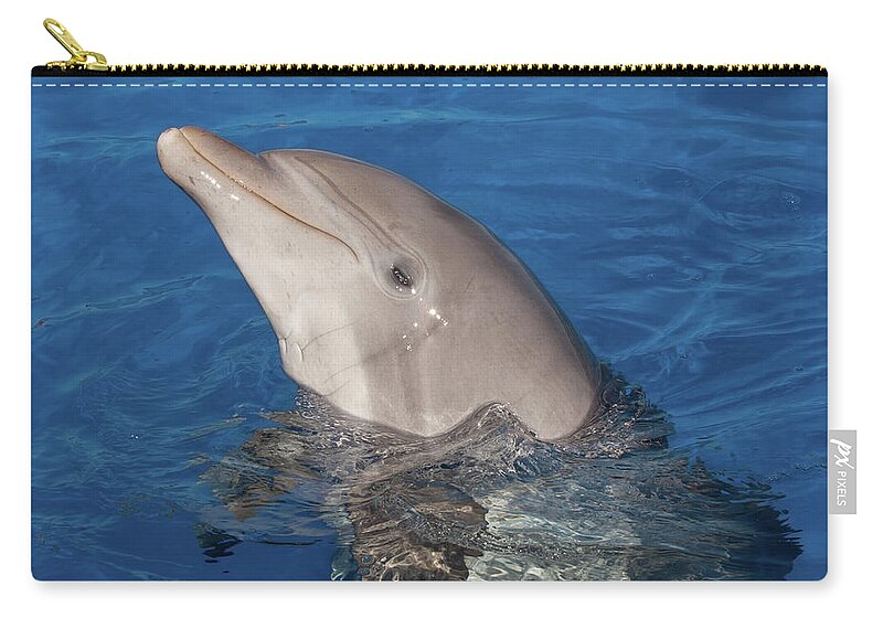 Dolphin Zip Pouch featuring the photograph Hello Nellie by Paul Rebmann