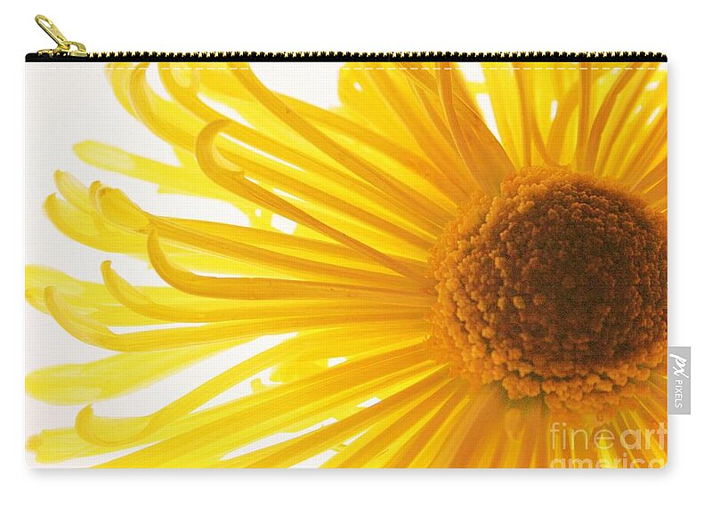 Daisy Carry-all Pouch featuring the photograph Hello Sunshine by Julie Lueders 