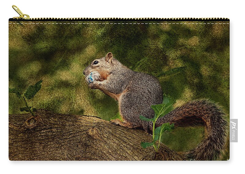 Squirrel Zip Pouch featuring the photograph Her Treasure by Joan Bertucci