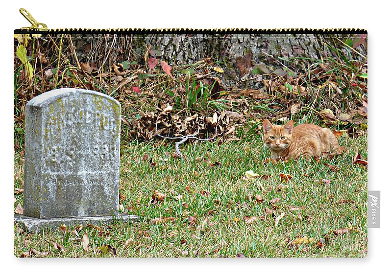 Cemetery Zip Pouch featuring the photograph Here Kitty Kitty by Scott Ward