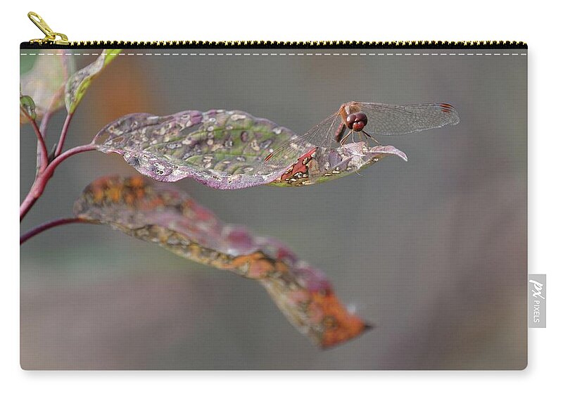 Outdoor Zip Pouch featuring the photograph Here's lookin' at you- Dragonfly by David Porteus