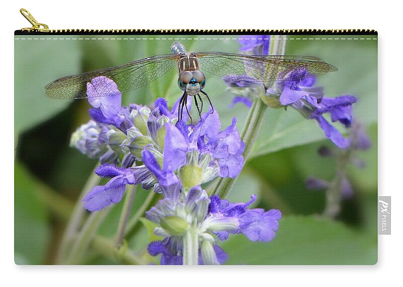 Dragonfly Carry-all Pouch featuring the photograph Here's Looking At You Kid by Carolyn Mickulas