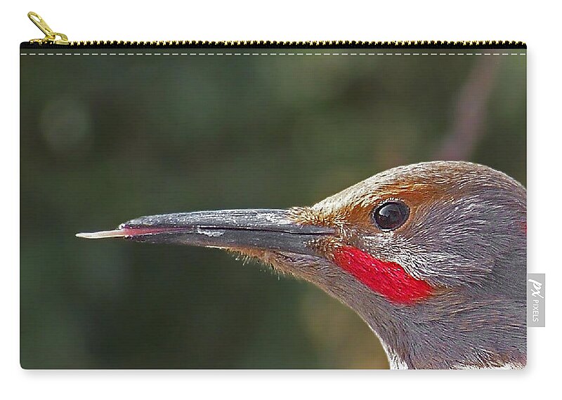 Ground Flickers Zip Pouch featuring the photograph Heres to you by Ernest Echols