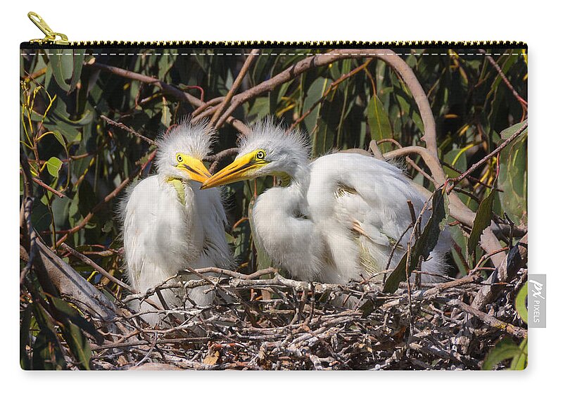 Heron Zip Pouch featuring the photograph Heron Babies in their Nest by Kathleen Bishop
