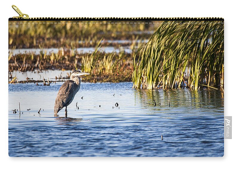 Birds Zip Pouch featuring the photograph Heron - Horicon Marsh - Wisconsin by Steven Ralser