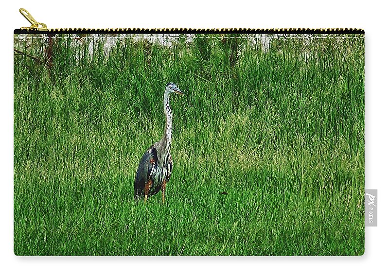 Alabama Photographer Zip Pouch featuring the digital art Heron in the Grasses by Michael Thomas