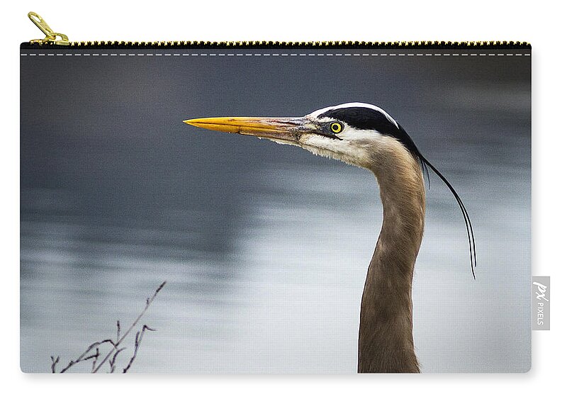 Birds Zip Pouch featuring the photograph Heron Portrait by Jean Noren