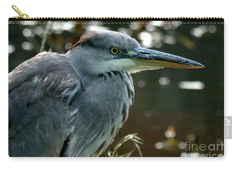 Bird Carry-all Pouch featuring the photograph Herons Looking At You Kid by Baggieoldboy