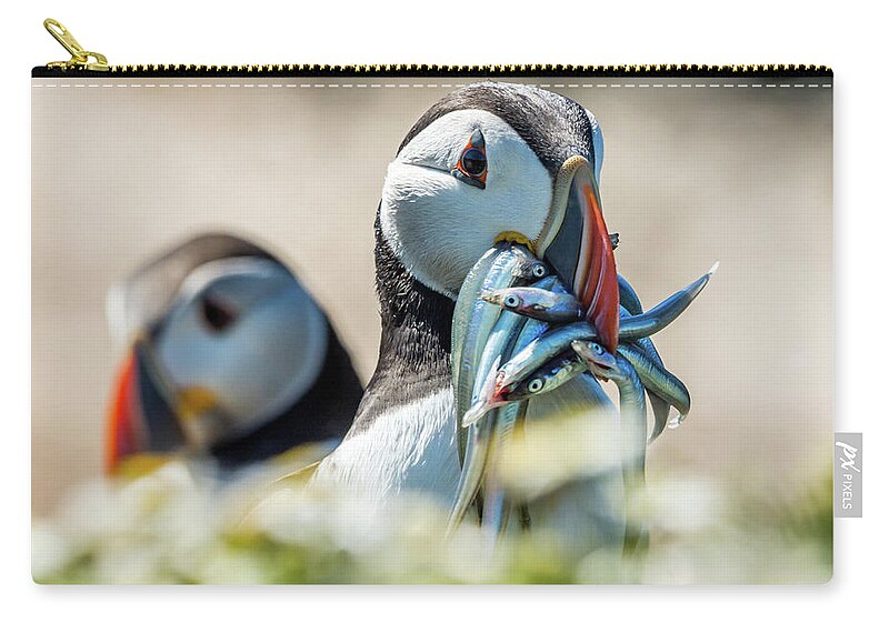 Skomer Island Zip Pouch featuring the photograph He's Behind You by Framing Places