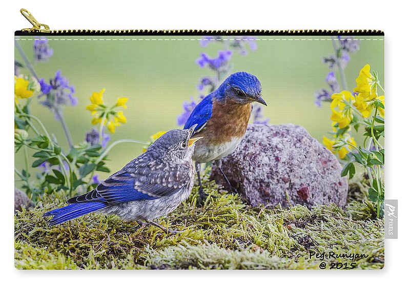 Bluebird Zip Pouch featuring the photograph Hey Dad I'm Hungry by Peg Runyan