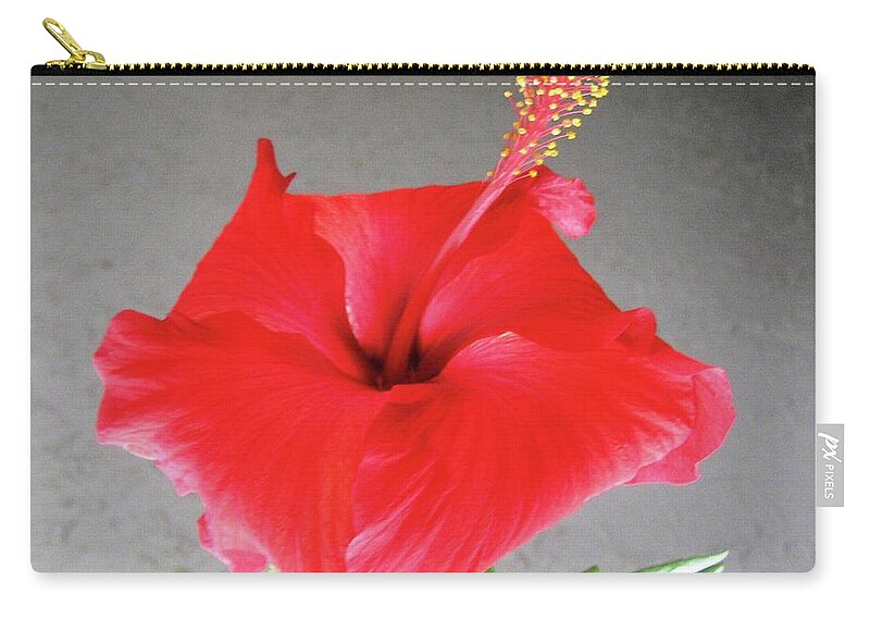 Red Zip Pouch featuring the photograph Hibiscus #1 by Cindy Schneider