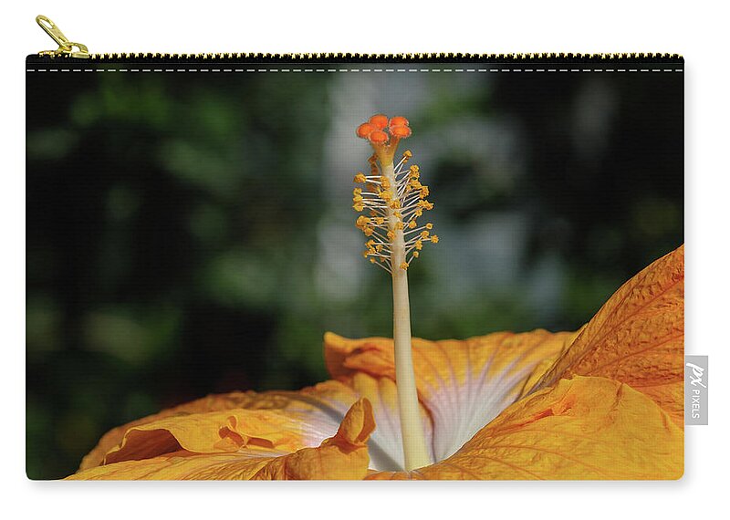 Hibiscus; Orange Zip Pouch featuring the photograph Hibiscus #1 by Georgette Grossman