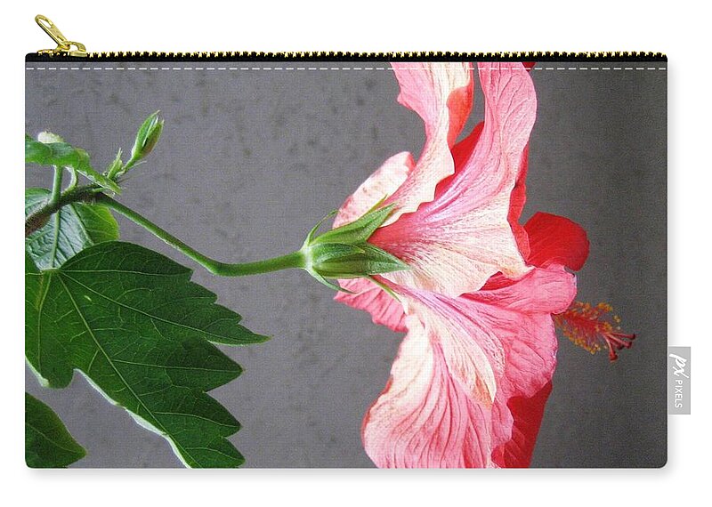 Hibiscus Zip Pouch featuring the photograph Hibiscus #4 by Cindy Schneider