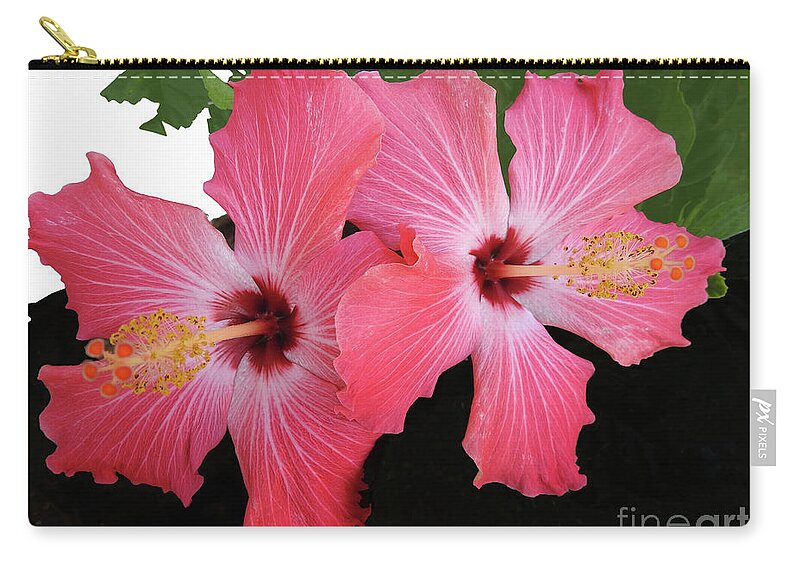 Hibiscus Zip Pouch featuring the photograph Hibiscus Flowers by Scott Cameron