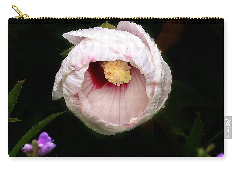 Hibiscus Carry-all Pouch featuring the photograph Hibiscus in bloom by Jackson Pearson