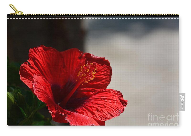Hibiscus In The Shadows Zip Pouch featuring the photograph Hibiscus in the Shadows by Maria Urso