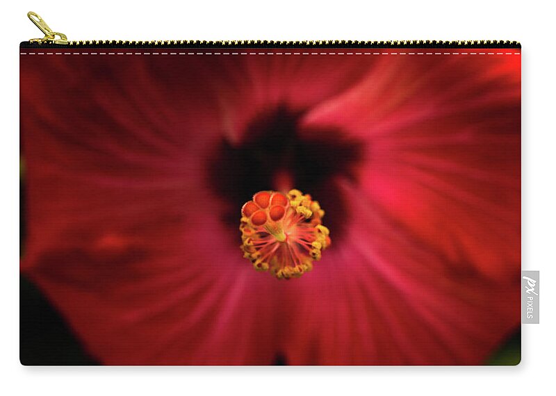 Jay Stockhaus Zip Pouch featuring the photograph Hibiscus by Jay Stockhaus