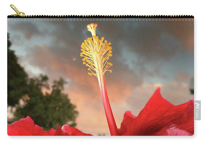 Lanscape Zip Pouch featuring the photograph Hibiscus Sunset by Clay Cofer