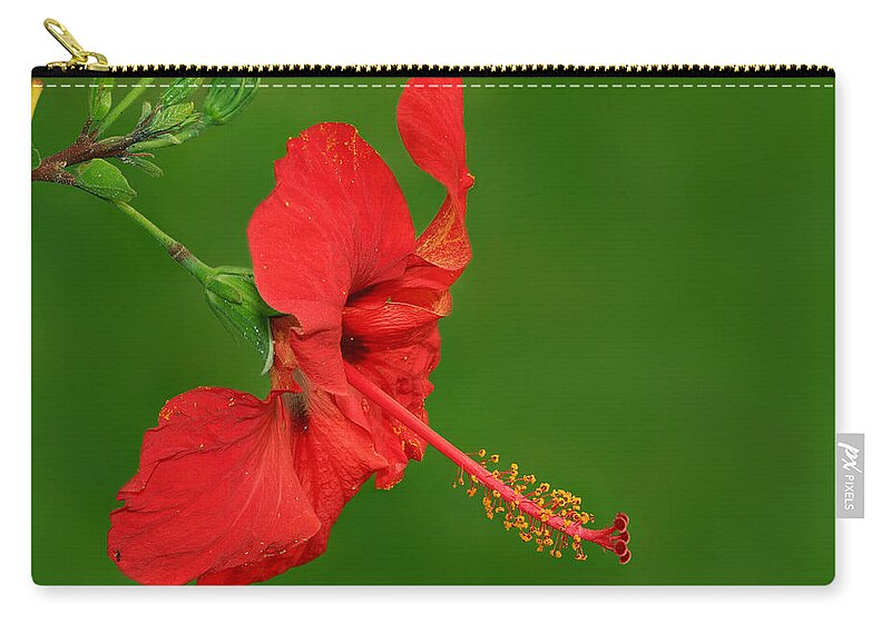 Hibiscus Zip Pouch featuring the photograph Hibiscus by Yuri Peress