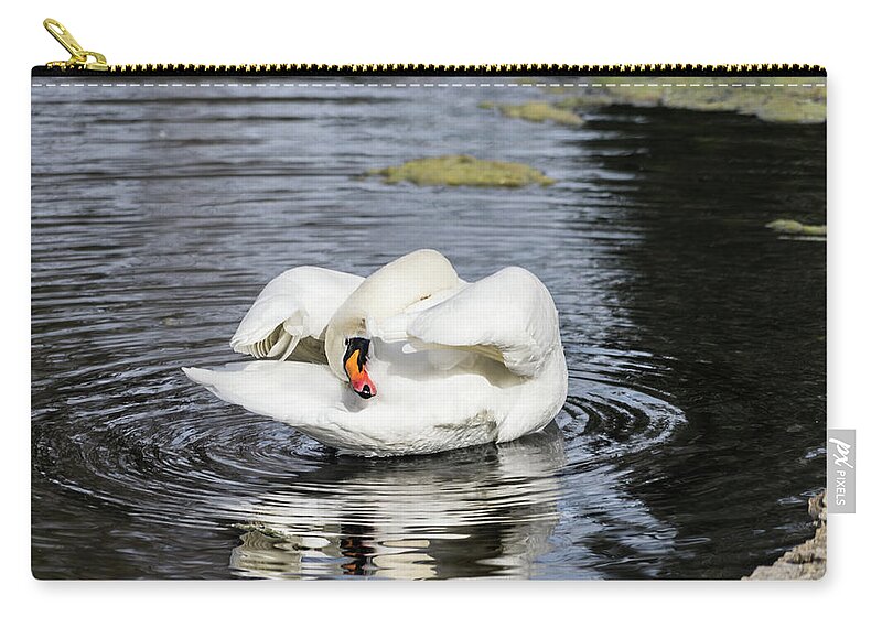Cathy Donohoue Photography Zip Pouch featuring the photograph Hide and Seek by Cathy Donohoue