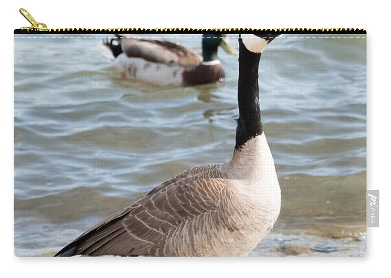 Goose Zip Pouch featuring the photograph High-Class Goose by Holden The Moment