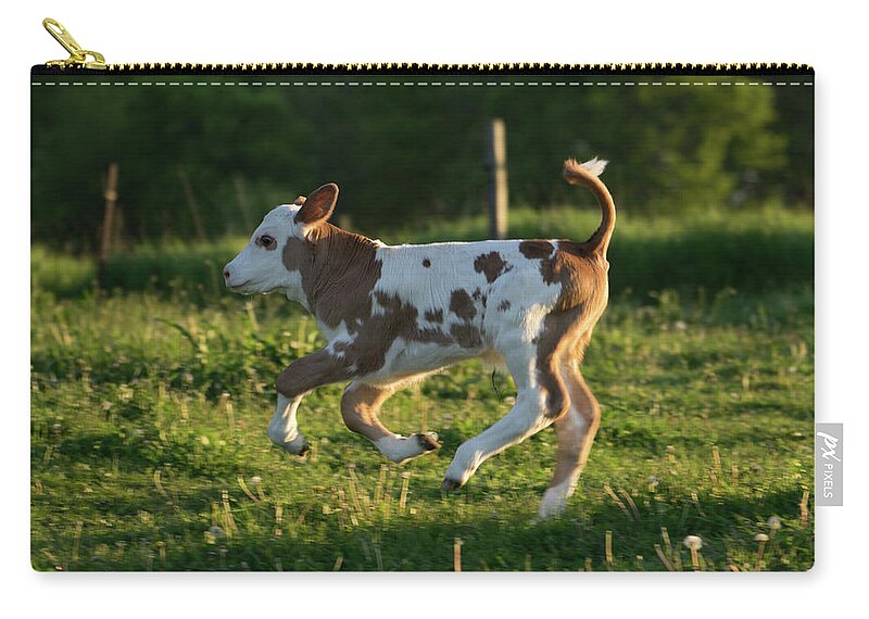 High-tailing It Back Zip Pouch featuring the photograph High-Tailing it Back by Brooke Bowdren