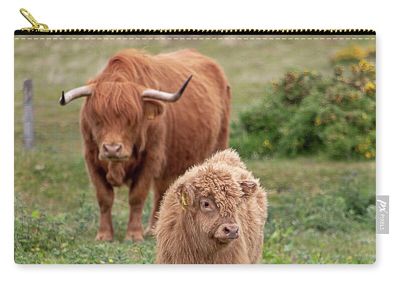 Animal Zip Pouch featuring the photograph Highland Calf and Mom by Teresa Wilson