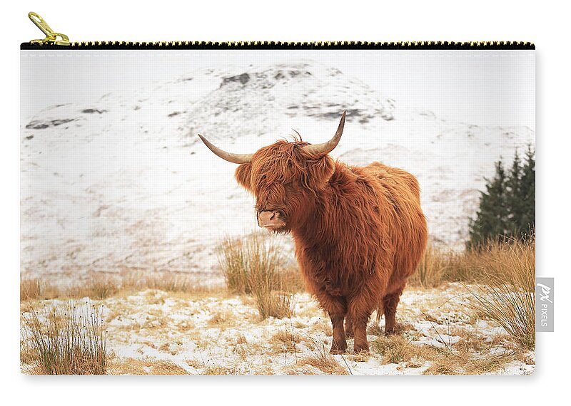 Highland Cattle Zip Pouch featuring the photograph Highland Cow by Grant Glendinning