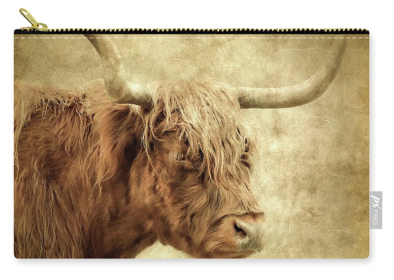 Highland Cow Zip Pouch featuring the photograph Highland Cow Paint by Athena Mckinzie