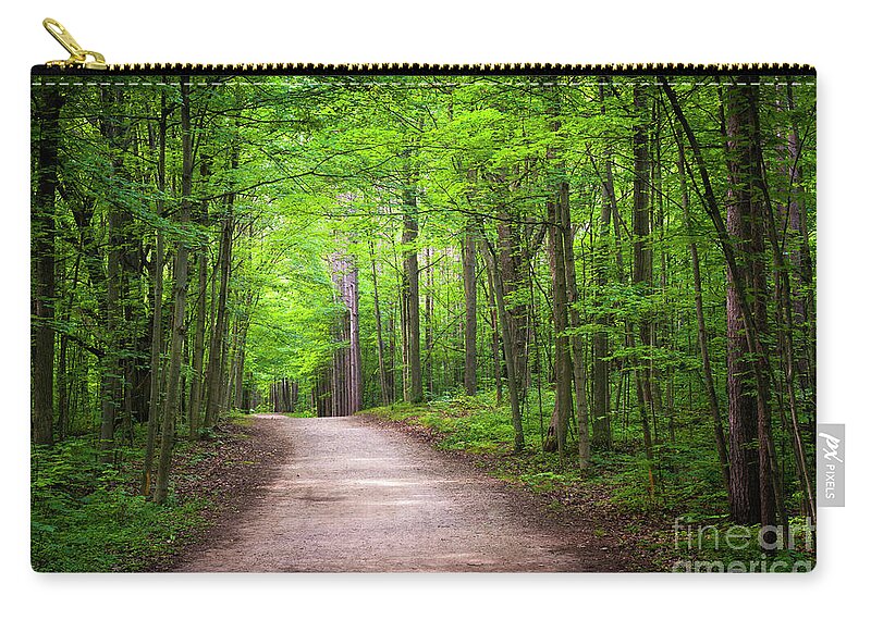 Trail Zip Pouch featuring the photograph Hiking trail in green forest by Elena Elisseeva