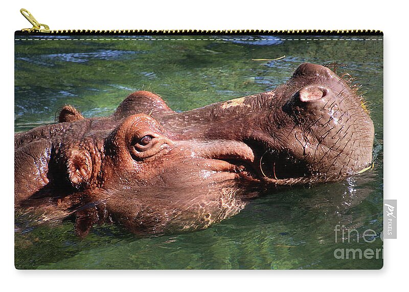 Hippo Zip Pouch featuring the photograph Hippo-2402 by Gary Gingrich Galleries