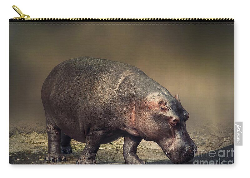 Wild Zip Pouch featuring the photograph Hippo by Charuhas Images