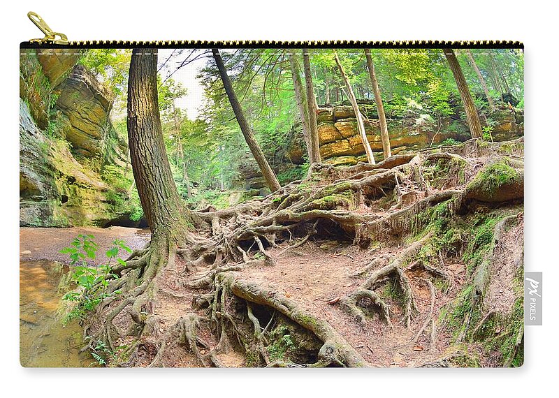 Hocking Hills Ohio Old Man's Gorge Trail Zip Pouch featuring the photograph Hocking Hills Ohio Old Man's Gorge Trail by Lisa Wooten