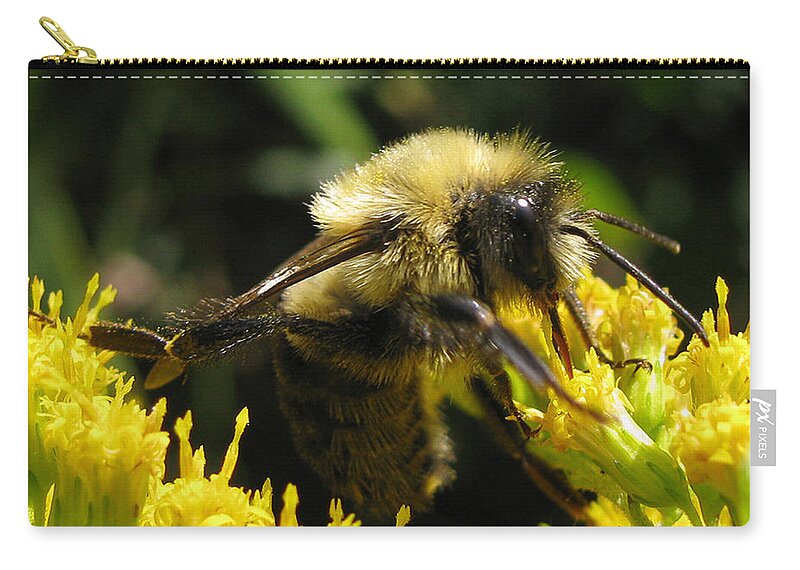  Insect Zip Pouch featuring the photograph Holding On by Donna Brown