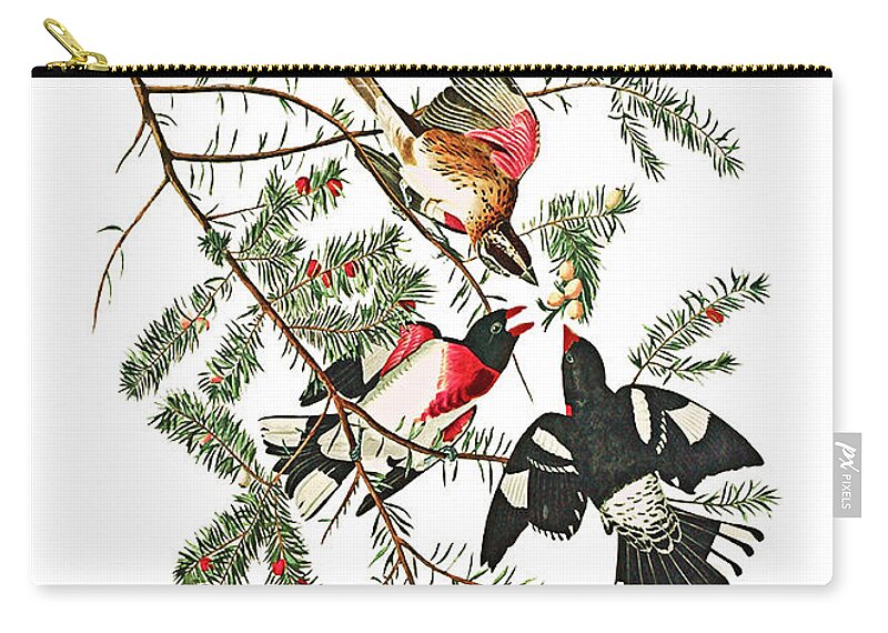 Christmas Zip Pouch featuring the photograph Holiday Birds by Munir Alawi